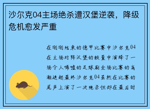 沙尔克04主场绝杀遭汉堡逆袭，降级危机愈发严重